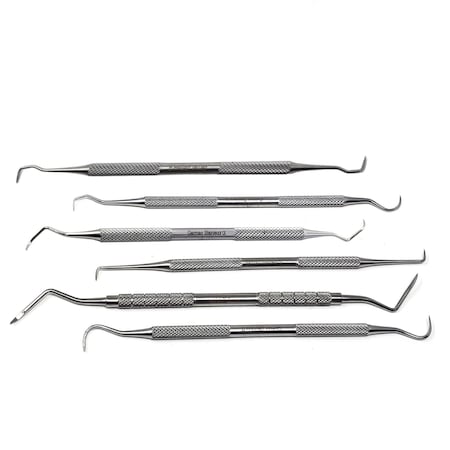 A2Z Scilab 6 Pcs Oral Hygiene Kit Stainless Steel Dental Tools A2Z-ZR-SS6